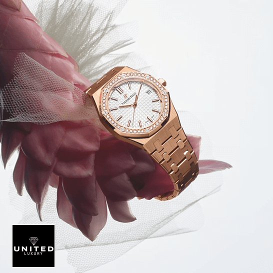 Audemars Piguet Royal Oak Replica white background